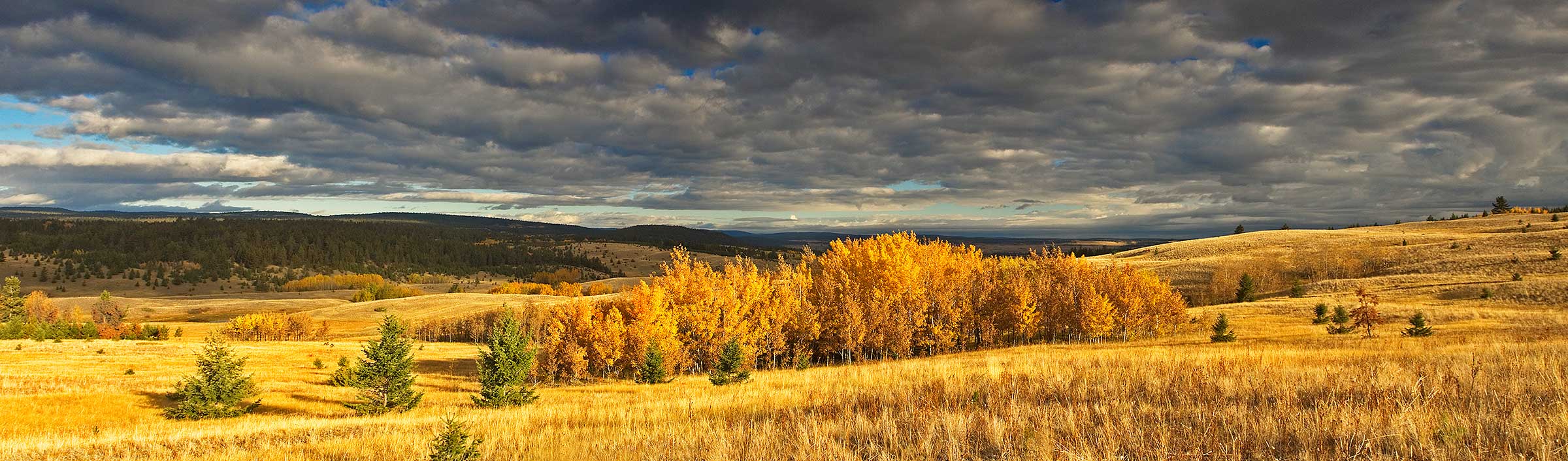 Grasslands Conservation Council of BC