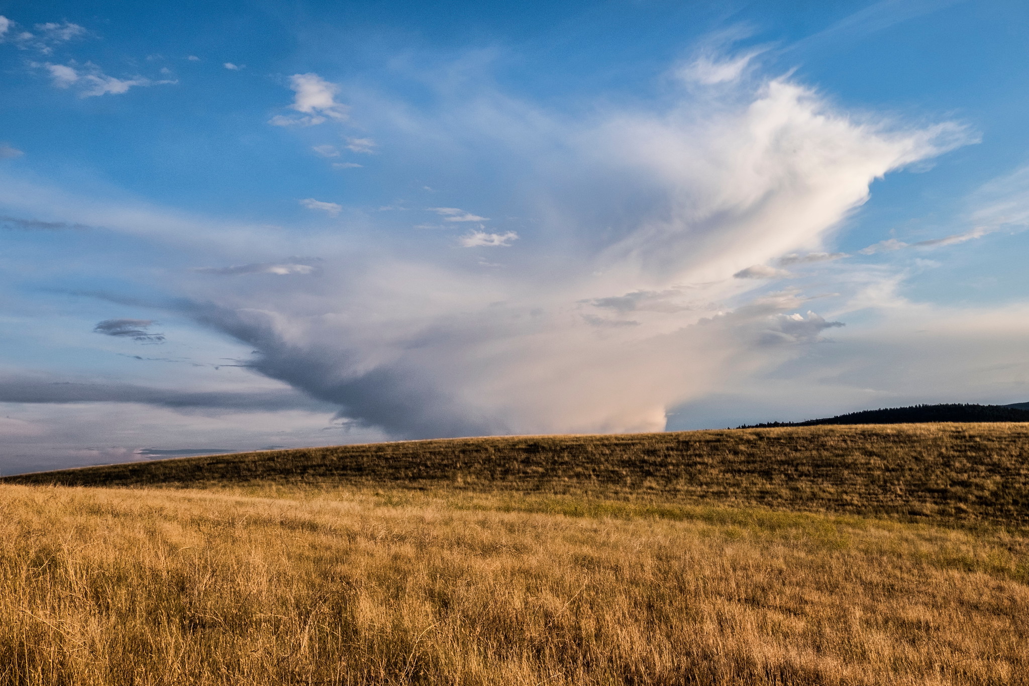 BC Grasslands - Photo by Studio Five