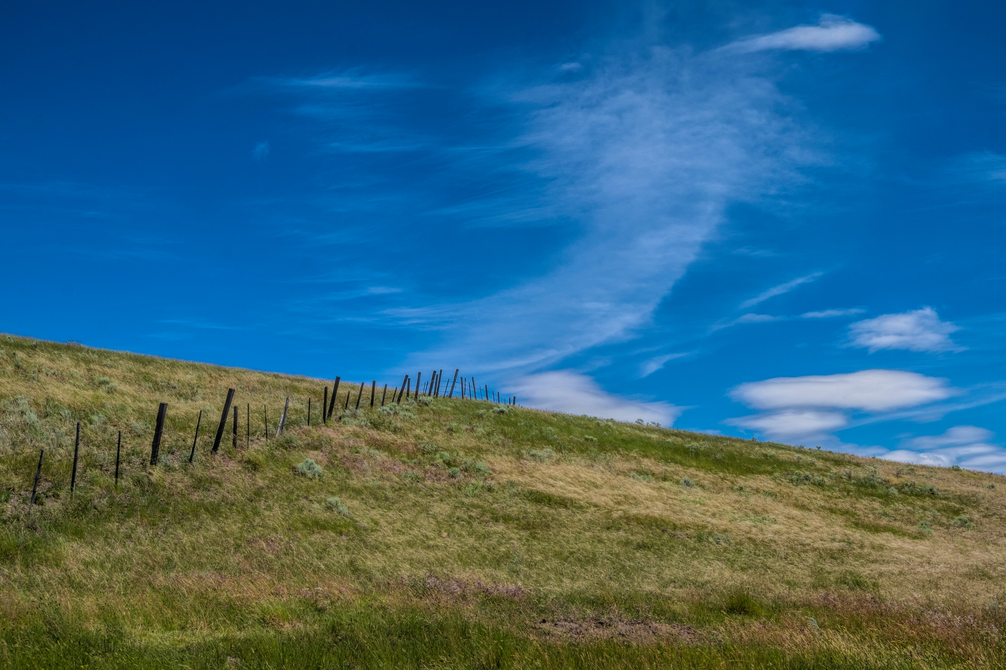 BC Grasslands - Photo by Studio Five